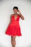 Rose 004